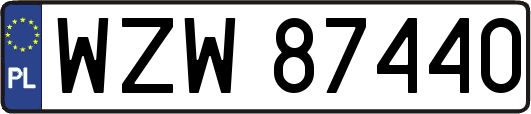 WZW87440