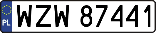 WZW87441