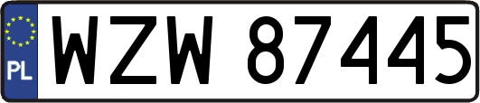WZW87445