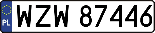 WZW87446