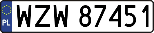WZW87451