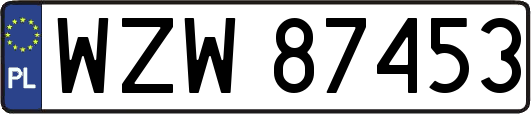 WZW87453