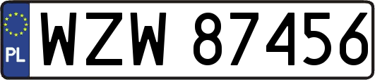 WZW87456