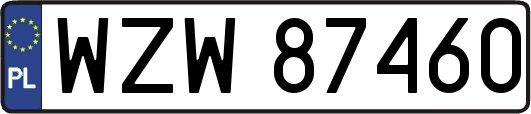 WZW87460