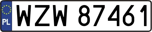 WZW87461