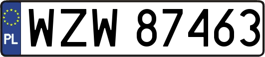 WZW87463