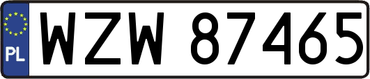 WZW87465