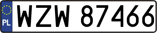 WZW87466