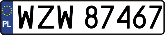 WZW87467