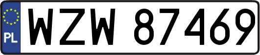 WZW87469