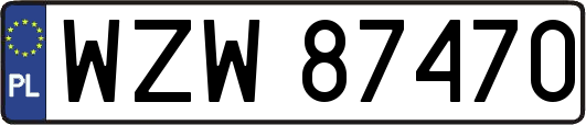 WZW87470
