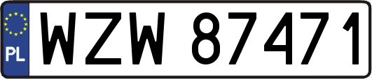 WZW87471