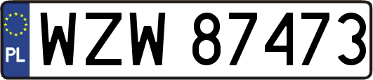 WZW87473