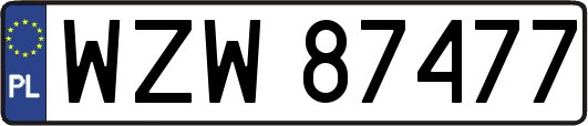 WZW87477