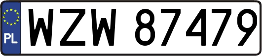 WZW87479
