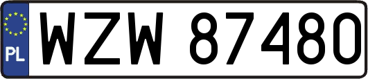 WZW87480