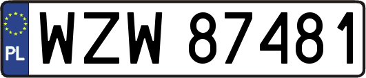 WZW87481
