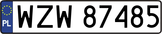 WZW87485