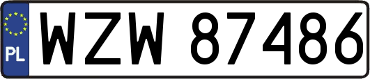 WZW87486