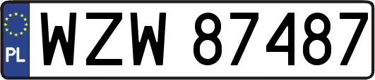 WZW87487