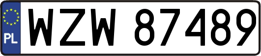 WZW87489