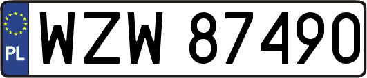WZW87490
