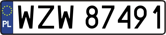 WZW87491
