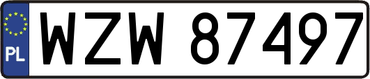 WZW87497
