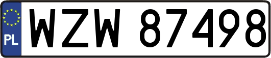WZW87498