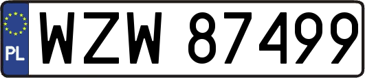 WZW87499
