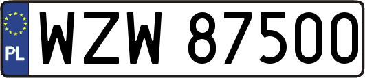 WZW87500