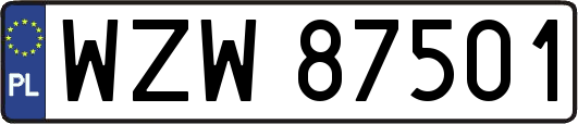 WZW87501