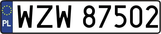 WZW87502