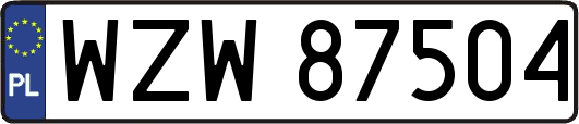 WZW87504