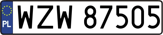 WZW87505