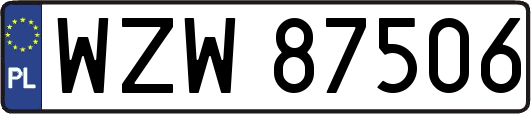 WZW87506
