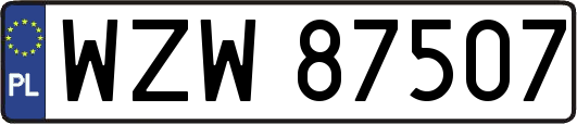 WZW87507