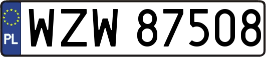 WZW87508