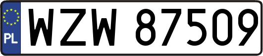 WZW87509