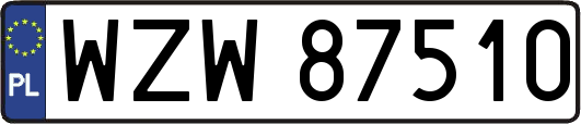 WZW87510