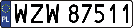 WZW87511
