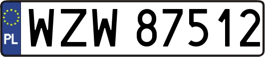 WZW87512