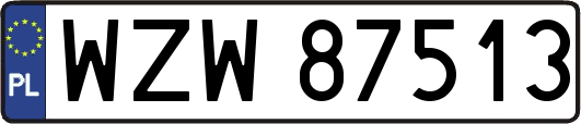 WZW87513