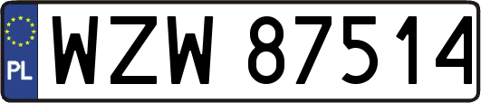 WZW87514