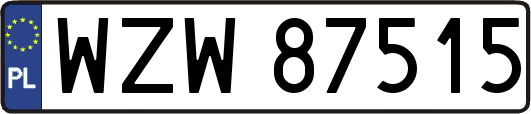 WZW87515