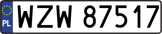 WZW87517