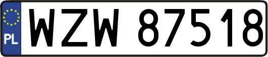 WZW87518