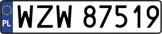WZW87519