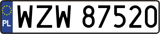 WZW87520