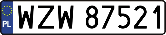WZW87521